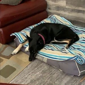 Meet your Posher, Shannon